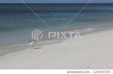 Sunny Afternoon at Bradenton Beach in Bradenton Florida 124187235