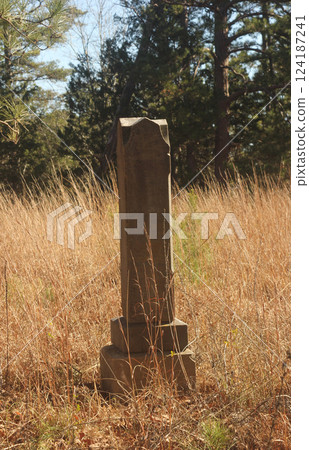 Abandoned Cemetery Located in Rural East TX Barron Cemetery 124187241