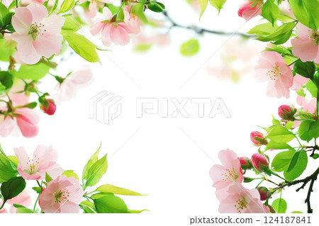 beautiful floral border with pink flowers and green leaves, perfect for text placement 124187841