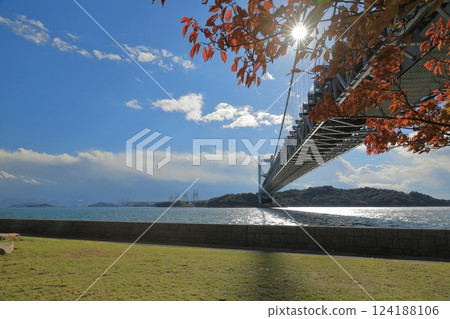 The view of the Great Seto Bridge illuminated by sunlight filtering through the autumn leaves The view of the Great Seto Bridge illuminated by sunlight filtering through the autumn leaves 124188106