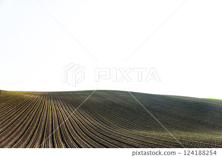 An atmospheric spring field scene in Biei, Hokkaido 124188254