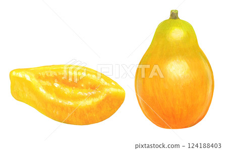 木瓜的插圖 124188403