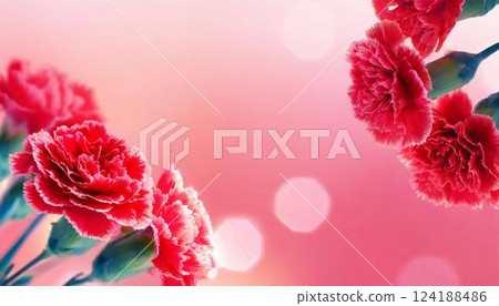 Carnation flower frame on a pink background Material for Mother's Day, weddings, and Valentine's Day 124188486