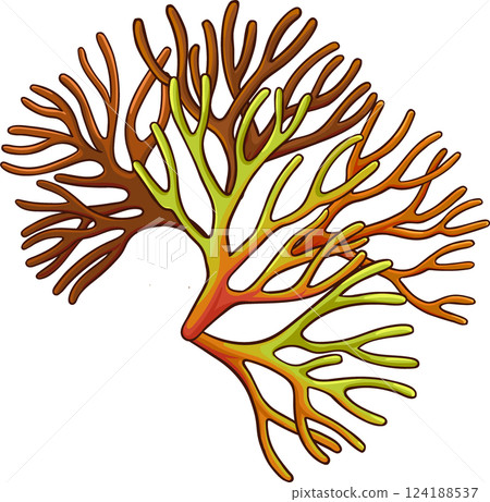 Sea Moss Plant Colored Detailed  Illustration. 124188537