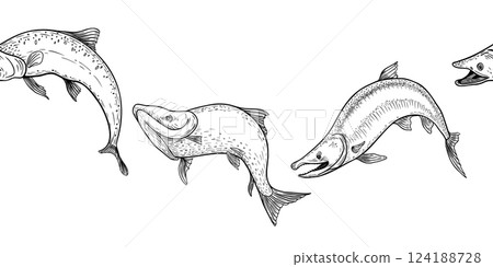 Trout black white vector seamless border. Salmon monochrome sketch hand drawn. Nerka sea fish painted engraving on repeat background. Variety sockeye in graphic set for package, label, sign board. 124188728