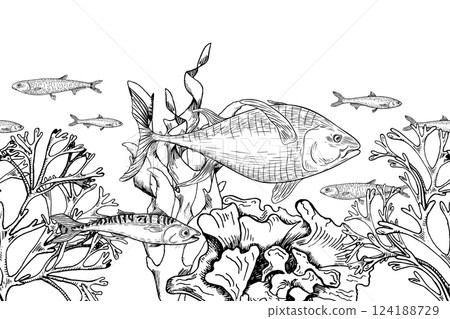 Big fish tuna, seaweed, and coral reefs black white vector seamless banner. Underwater monochrome hand painted illustration. School of fish on sea plants engraving on repeat texture for design. Big fish tuna, seaweed, and coral reefs black white vector seamless banner. Underwater monochrome hand painted illustration. School of fish on sea plants engraving on repeat texture for design. 124188729