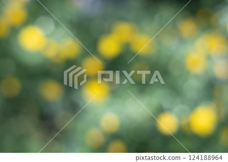 花圖像模糊背景 124188964