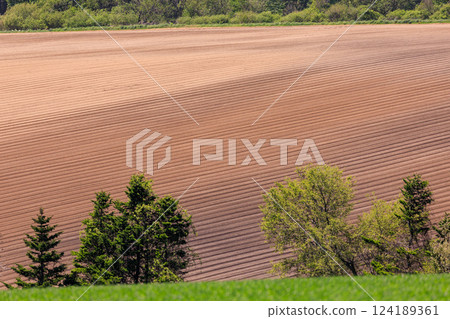 Abira Town, Hokkaido: Field ridges spreading across the hills [May] 124189361