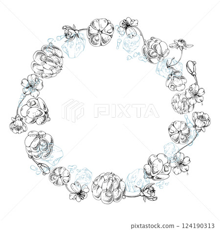 Cloudberry raspberry flying in water splashes drops, hand drawn vector ink, line forest berry, white flowers leaves. Circle wreath frame illustration. Restaurant cafe menu, farmers market, juice bar 124190313