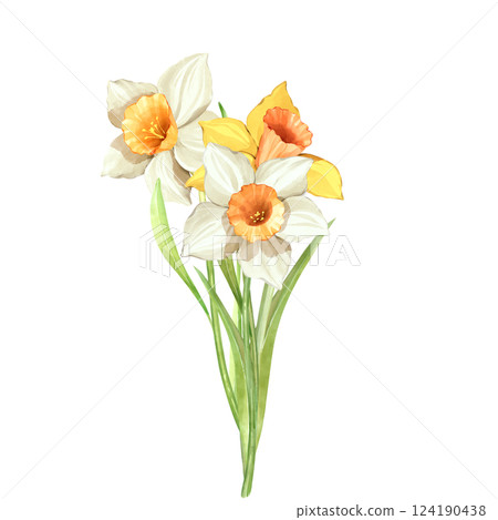 Bouquet of daffodil flowers. Spring hand painted floral illustration. Bouquet of daffodil flowers. Spring hand painted floral illustration. 124190438