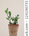 Green drum potted plant vertical composition 124190735