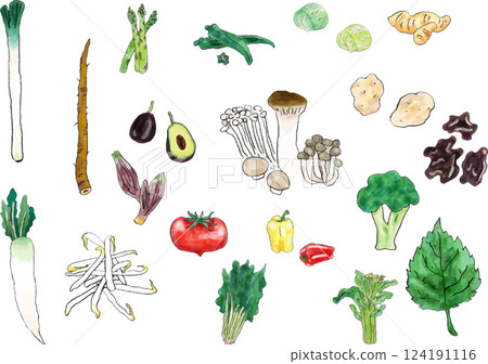 黃、紅、綠五大營養素手寫 124191116