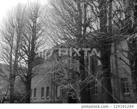 Architecture in the early Showa period 124191284