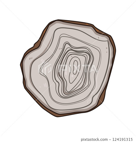 annual tree rings cartoon vector illustration annual tree rings cartoon vector illustration 124191315