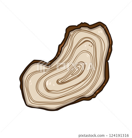 analysis tree rings cartoon vector illustration analysis tree rings cartoon vector illustration 124191316