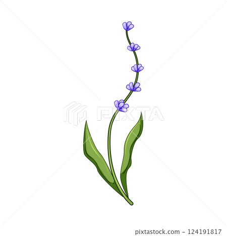 magic lavender cartoon vector illustration 124191817