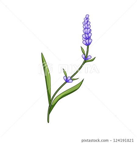 ireland lavender cartoon vector illustration 124191821