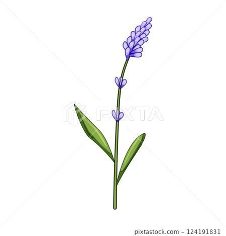 rainbow lavender cartoon vector illustration 124191831
