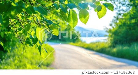 Capture of Early Morning Road and Landscape 124192368