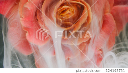 Ink flower. Water petals. Defocused white pink red multicolor rose glitter particles paint smoke nature drop blend on abstract art background. 124192731