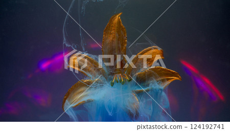 Art mist. Smoke paint. Blue pigment cloud splash on natural flower. Defocused sphere neon lens spectrum black abstract water background. Art mist. Smoke paint. Blue pigment cloud splash on natural flower. Defocused sphere neon lens spectrum black abstract water background. 124192741
