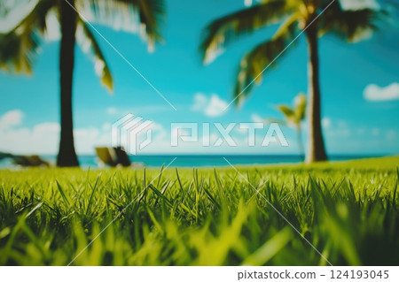 Close-Up of Grass with Palms and Beach 124193045
