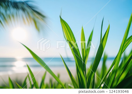 Beach Grass Close-Up with Palm Trees 124193046