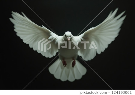 Graceful White Dove Taking Flight in Darkness Graceful White Dove Taking Flight in Darkness 124193061