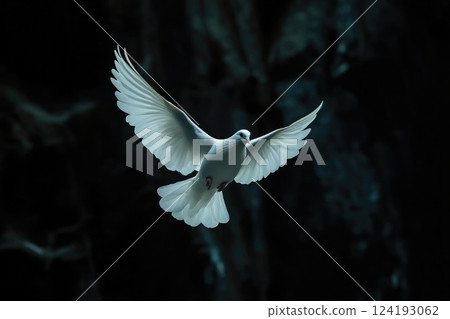 White Dove with Outstretched Wings Against Black Background White Dove with Outstretched Wings Against Black Background 124193062