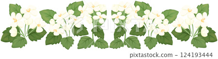 Garlic Mustard row illustration Edible flowers Garlic Mustard row illustration Edible flowers 124193444