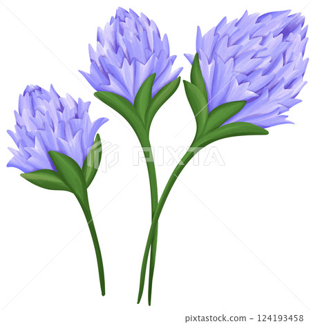 Chive blossoms Illustration Edible Flowers 124193458