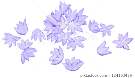 Chive blossoms Illustration Edible Flowers 124193459