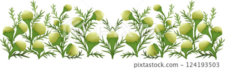 Illustration of row of edible pineapple weed flowers 124193503