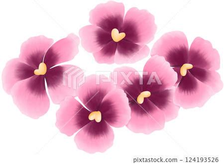 Mini Dianthus Illustration Edible Flowers 124193526