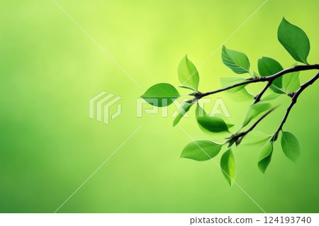 Fresh tree branch in natural environment 124193740