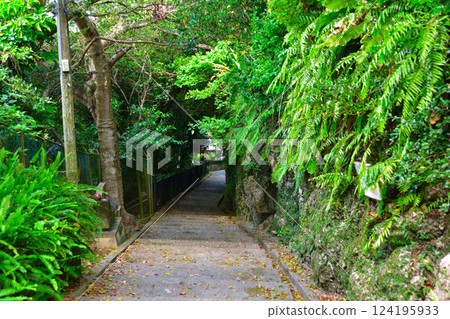 Pearl Road, Shuri, Naha City Pearl Road, Shuri, Naha City 124195933