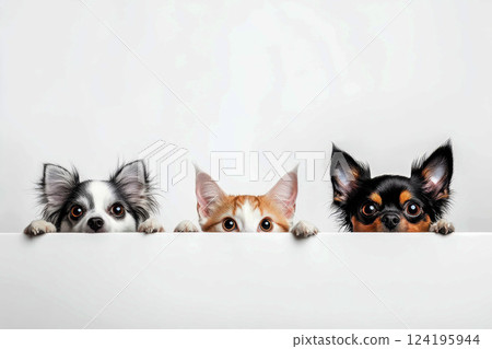 A playful image featuring smiling dogs and curious cats peeking over a blank white board. Their expressions create a fun and adorable scene, perfect for pet lovers. 124195944