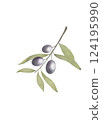 olive illustration 124195990