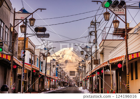 Mount Fuji and power lines, a World Heritage Site 124196016