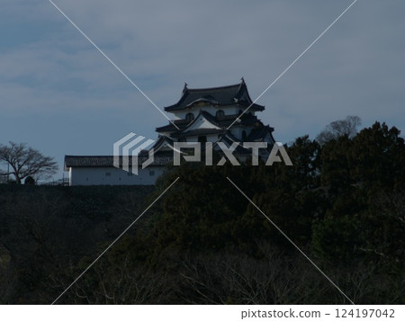 彥根城的春天印象 彥根城的春天印象 124197042