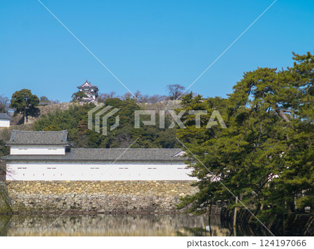 彥根城的春天印象 彥根城的春天印象 124197066
