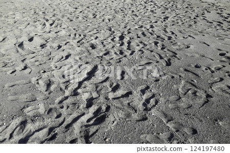 Many footsteps on a sandy beach 124197480