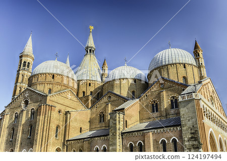 Domes of the Basilica of Saint Anthony in Padua, Italy Domes of the Basilica of Saint Anthony in Padua, Italy 124197494