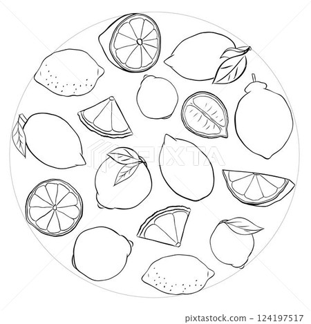 Lemon slice and whole with leaves circle round composition. Graphic line ink vector black and white illustration isolated on transparent background. ideal for menu and package designs. Lemon slice and whole with leaves circle round composition. Graphic line ink vector black and white illustration isolated on transparent background. ideal for menu and package designs. 124197517