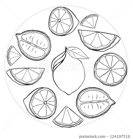 Lemon slices circle round composition. Vector black and white graphic line ink illustration for logo, package, kitchen design, fabric and textile. Lemon slices circle round composition. Vector black and white graphic line ink illustration for logo, package, kitchen design, fabric and textile. 124197518