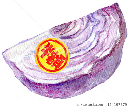 水彩插圖：貼有半價標籤的紫甘藍 124197879