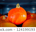 Pumpkins, halloween, thanksgiving, harvest. Top view, two orange, round pumpkins, bright blue background. Landscape format, close up. Wallpaper image, calender and postcard design.Copy space. 124199193