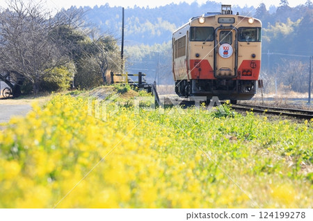 Kominato Railway "Kiha 40 departing Kazusakawama Station where rape blossoms are in bloom" 124199278