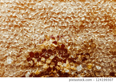 Close-up of honeycomb filled with thick amber honey. Part of the wax cap has been cut off, and the viscous honey is starting to flow out. Natural texture of honeycomb and honey. 124199307