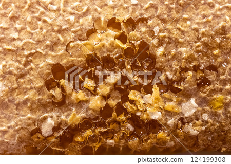 Close-up of honeycomb filled with thick amber honey. Part of the wax cap has been cut off, and the viscous honey is starting to flow out. Natural texture of honeycomb and honey. 124199308